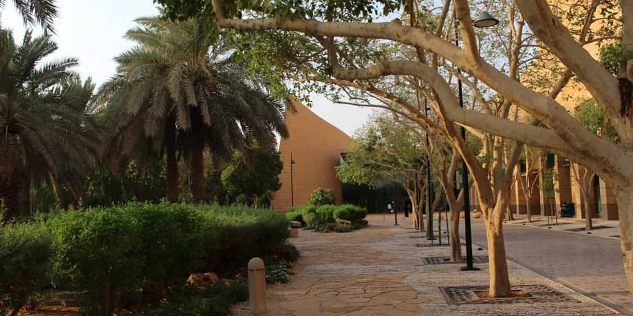 حديقة المتحف الوطني الرياض
